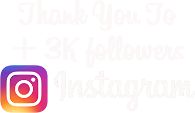 Angel the Border Collie